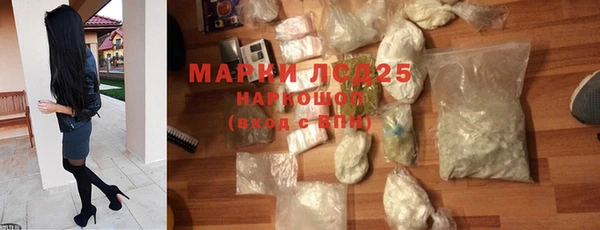 твердый Арсеньев