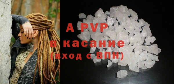 твердый Арсеньев