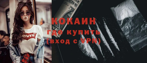 твердый Арсеньев